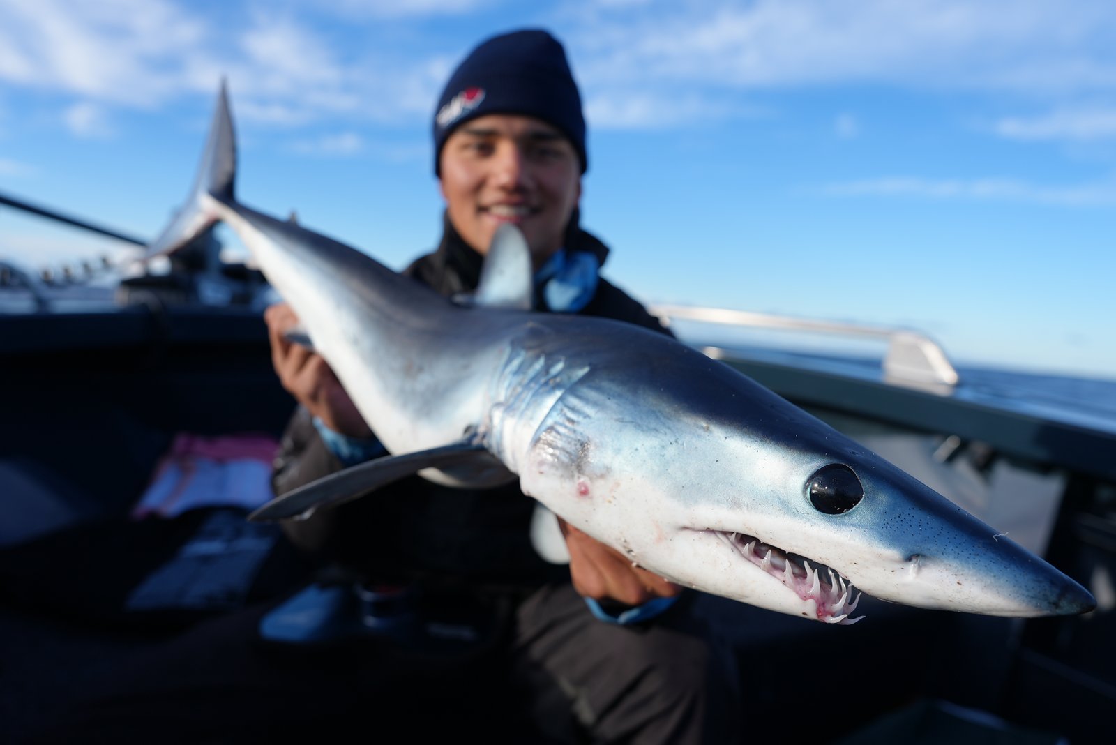 dadoog with a blue shark catch