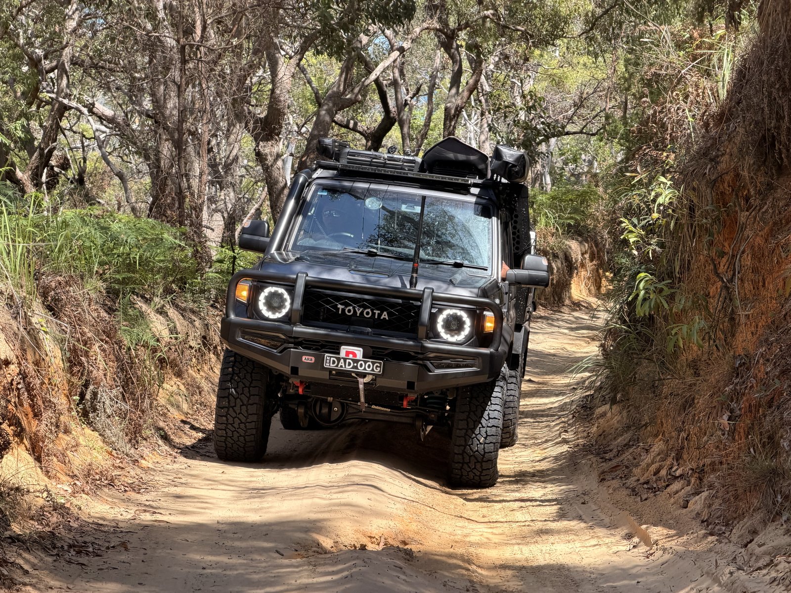 dadoog 79 Series Land Cruiser on a forest track