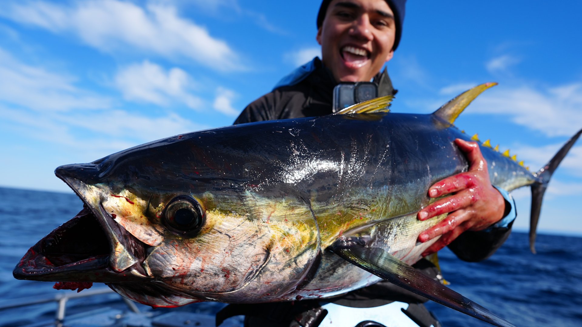 dadoog yellowfin tuna catch